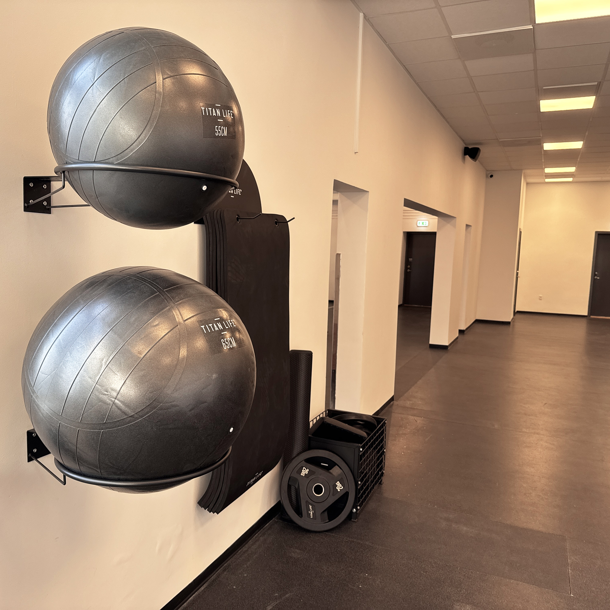 TITAN LIFE PRO Gymball Rack