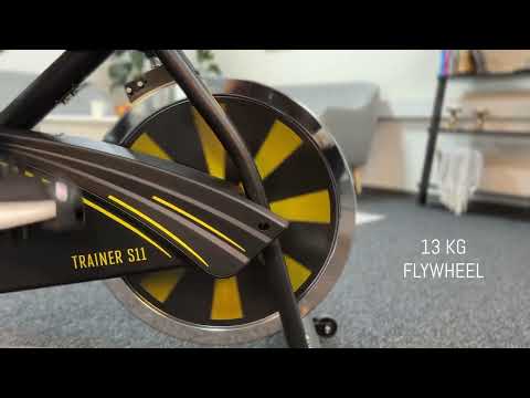 TITAN LIFE INDOOR BIKE S11