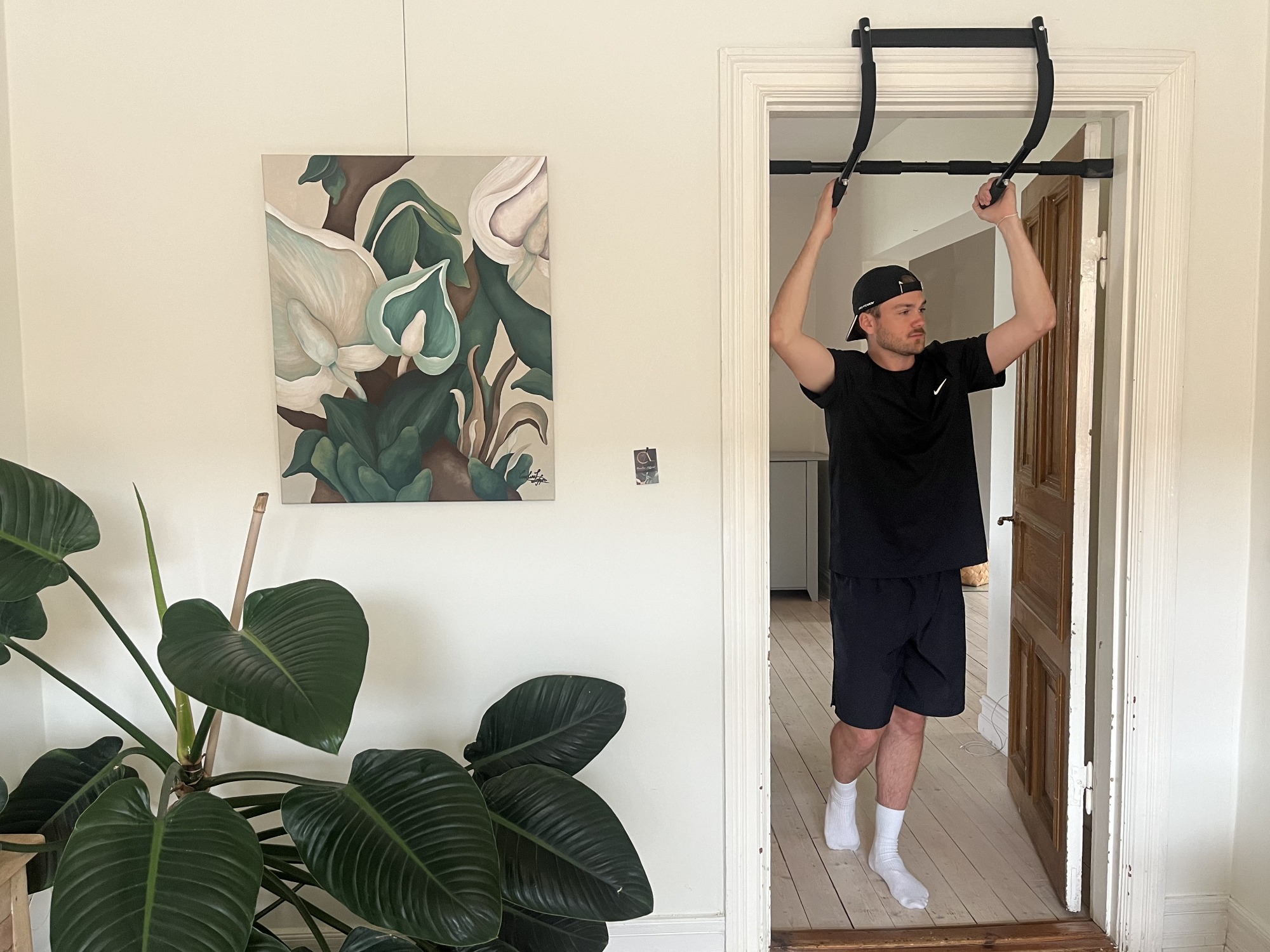 TITAN LIFE Door Gym 