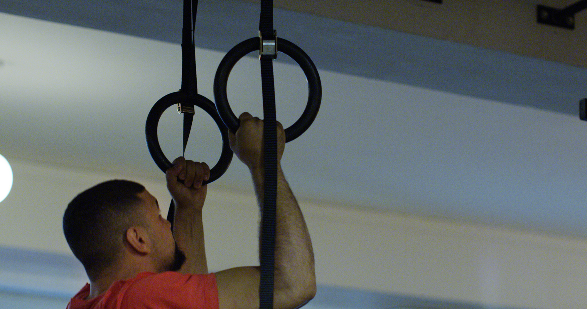 TITAN LIFE Synthetic Gym Rings